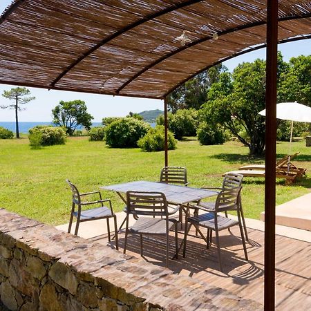 Domaine De Pianiccia Apartment Фавоне Екстериор снимка