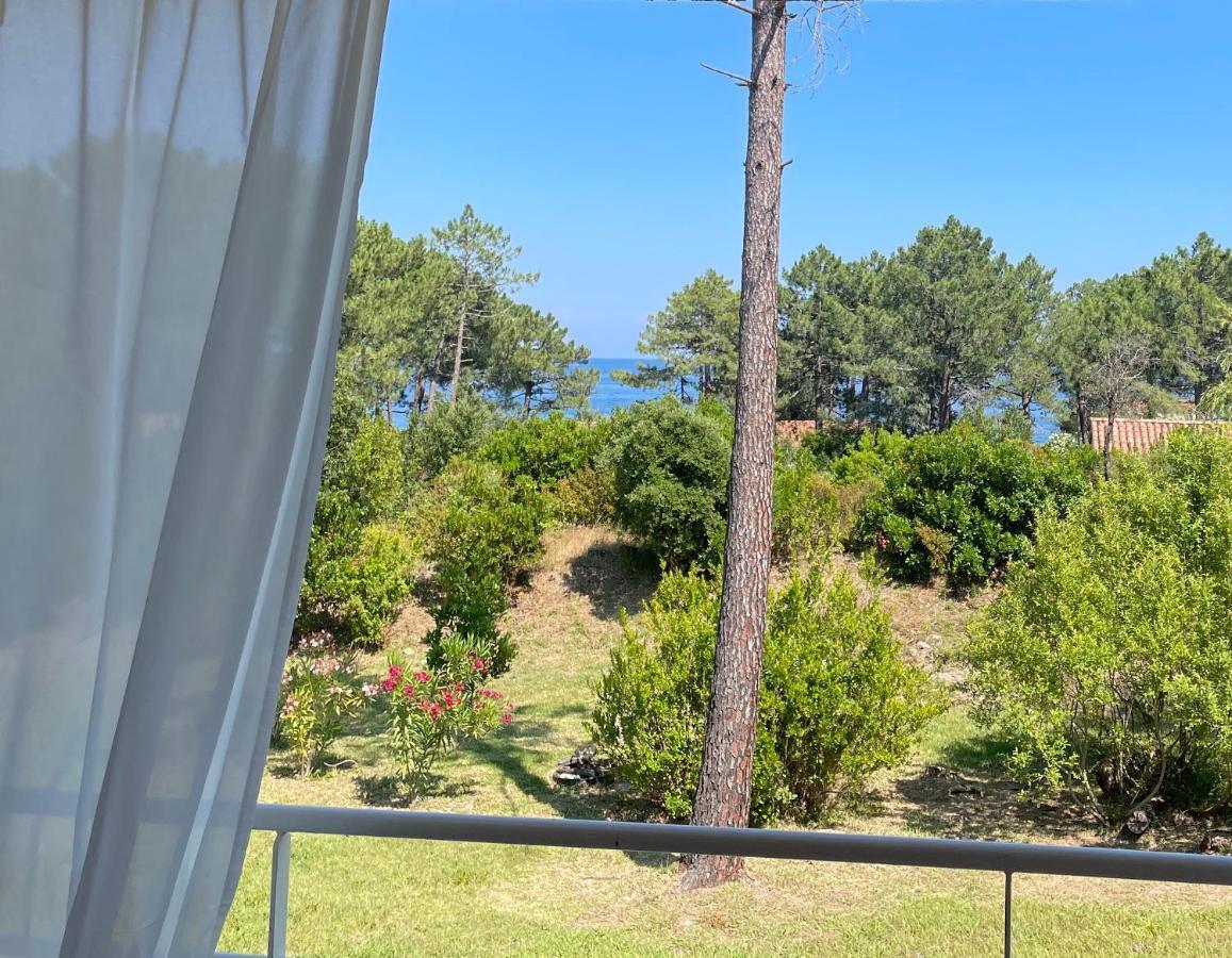 Domaine De Pianiccia Apartment Фавоне Екстериор снимка